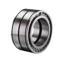 Double Row Full Complement Cylindrical Roller Bearings