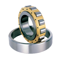 Single Row Cylindrical Roller Bearings